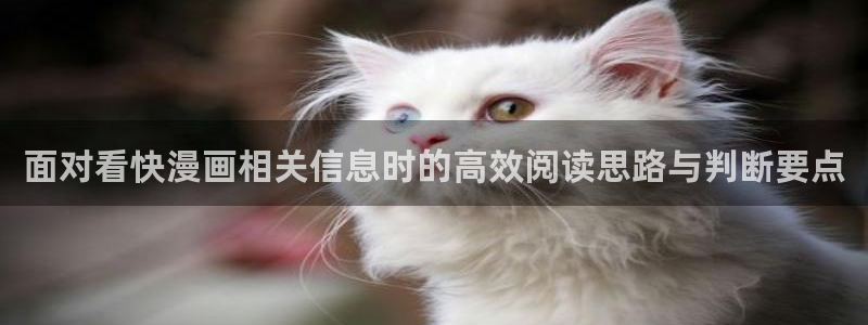 漫蛙漫画在线导航